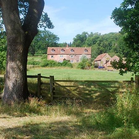 Grove Farm B&B Ньюнам Экстерьер фото